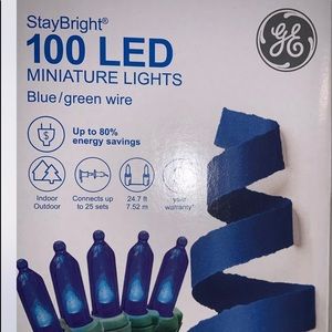 StayBright 100 led Miniature Lights